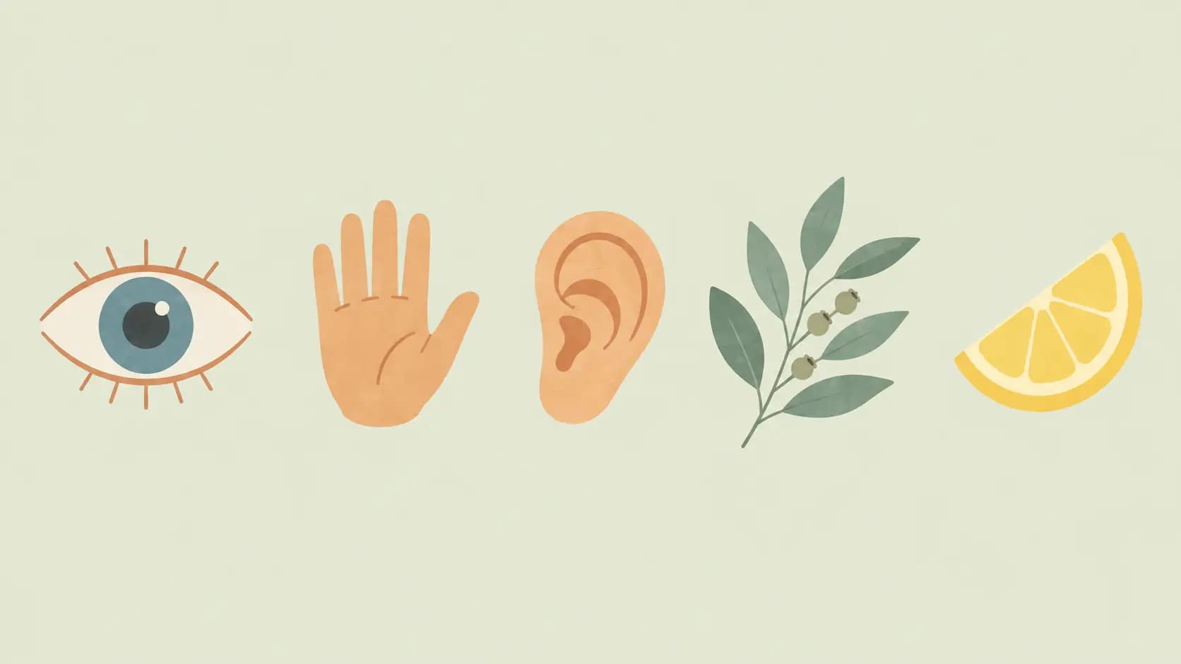 Five sense icons: eye, hand, ear, eucalyptus sprig and lemon wedge
